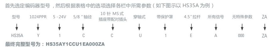 欧美性猛交XXXX乱大交3